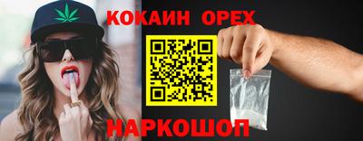 гашик Аргун