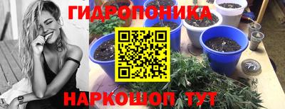 молекула духа Апшеронск