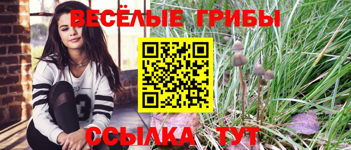 Галлюциногенные грибы ЛСД Богданович